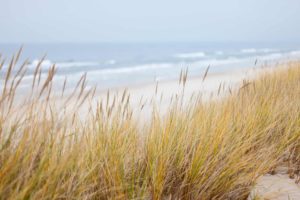 Foto Strand mit Dünen